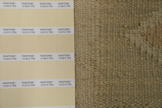 https://image-static-obj.rugsource.com/small/154513_3026438_57b8007c.jpeg