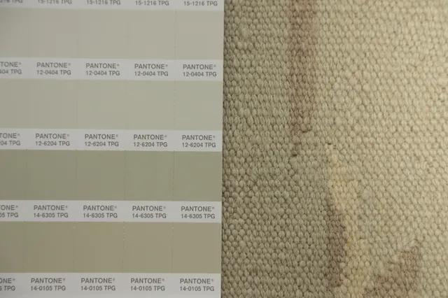 https://image-static-obj.rugsource.com/small/154524_3043184_4f362f64.jpeg