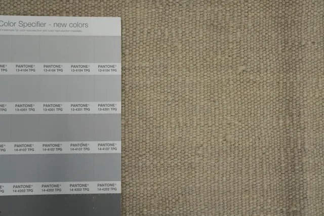 https://image-static-obj.rugsource.com/small/154539_3027811_190cb5ab.jpeg