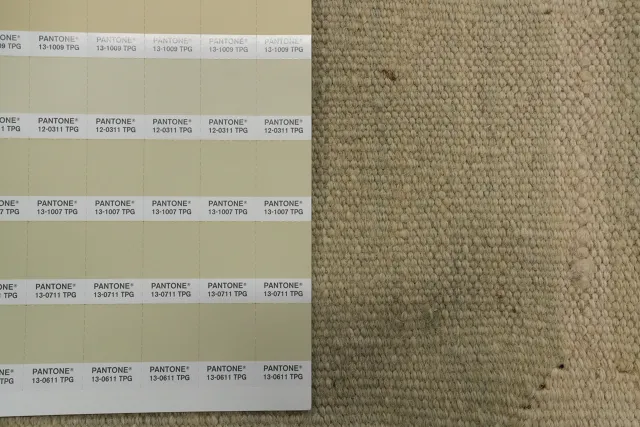 https://image-static-obj.rugsource.com/small/154605_3036614_285faf7f.jpeg