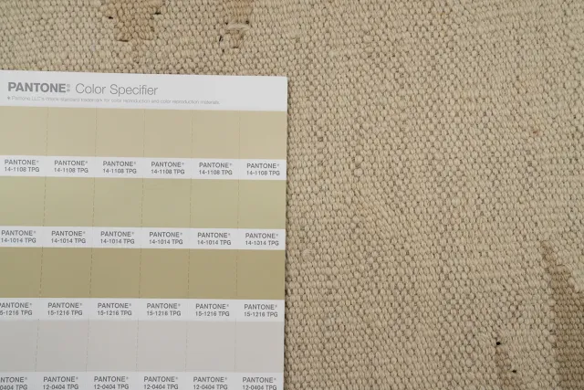 https://image-static-obj.rugsource.com/small/154640_3033574_620b708b.jpeg