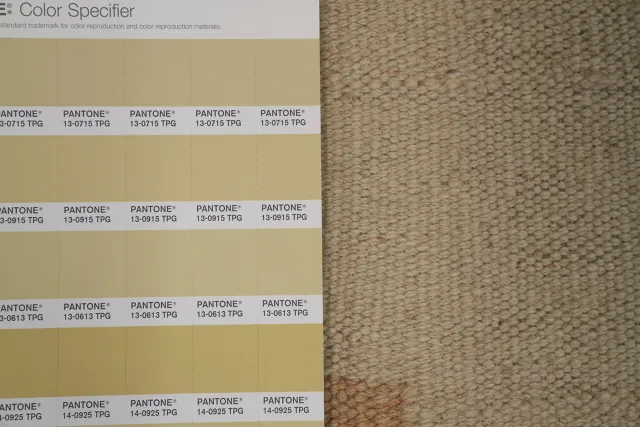 https://image-static-obj.rugsource.com/small/154700_3027531_9f347220.jpeg