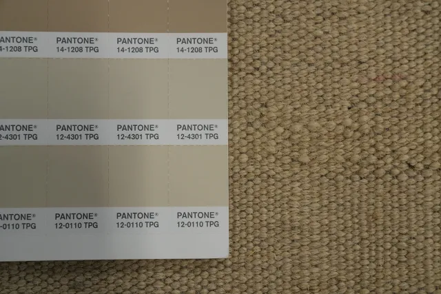 https://image-static-obj.rugsource.com/small/154709_3028086_2d9beed6.jpeg