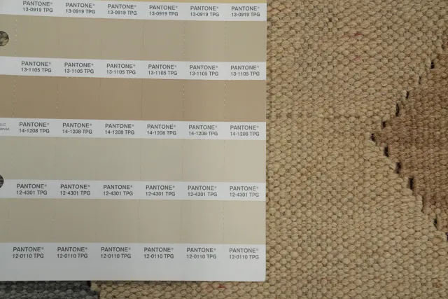 https://image-static-obj.rugsource.com/small/154710_3028110_a92ef423.jpeg