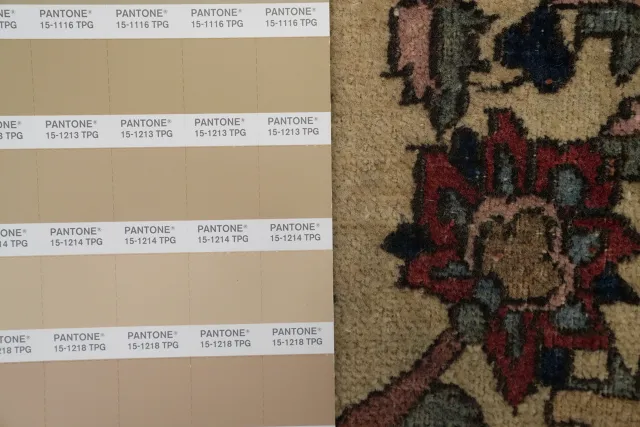 https://image-static-obj.rugsource.com/small/154786_3029427_e77d8db2.jpeg