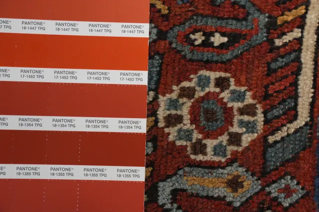 https://image-static-obj.rugsource.com/small/155456_3035302_295a9172.jpeg