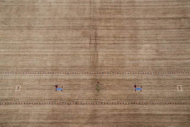 https://image-static-obj.rugsource.com/small/155829_3078720_918f901a.jpeg