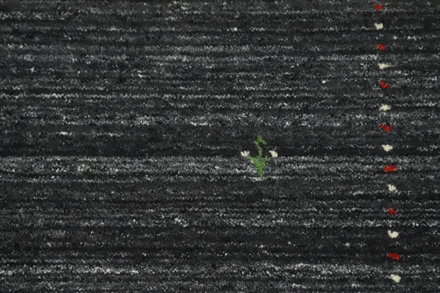 https://image-static-obj.rugsource.com/small/155922_3042080_74cadb4f.jpeg