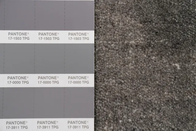 https://image-static-obj.rugsource.com/small/156067_3049133_d9012346.jpeg