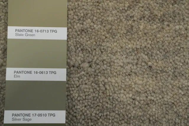 https://image-static-obj.rugsource.com/small/156165_3056911_a6f0a9ee.jpeg