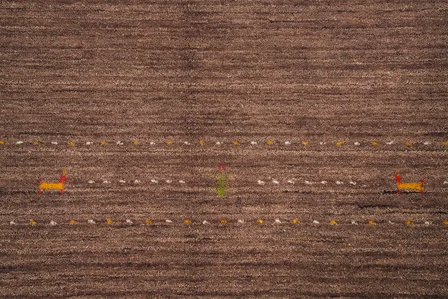 https://image-static-obj.rugsource.com/small/156207_3079410_d904b785.jpeg