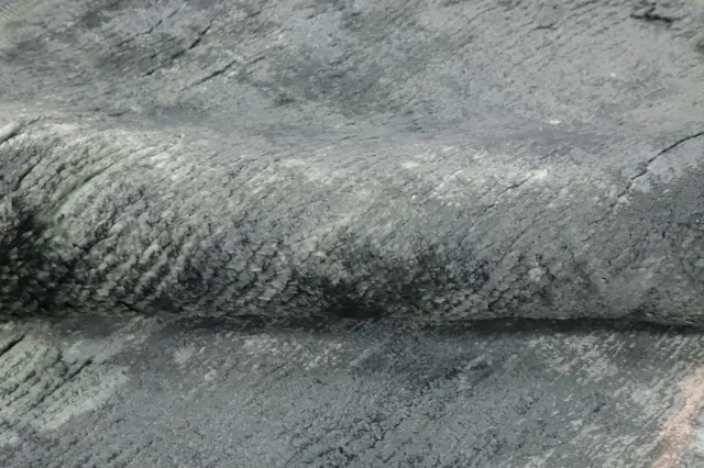 https://image-static-obj.rugsource.com/small/157040_3067392_dac7d6f4.jpeg