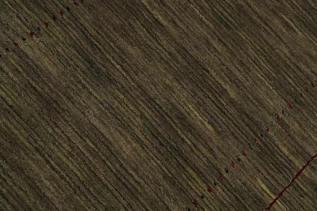 https://image-static-obj.rugsource.com/small/157983_3066067_377b08f2.jpeg