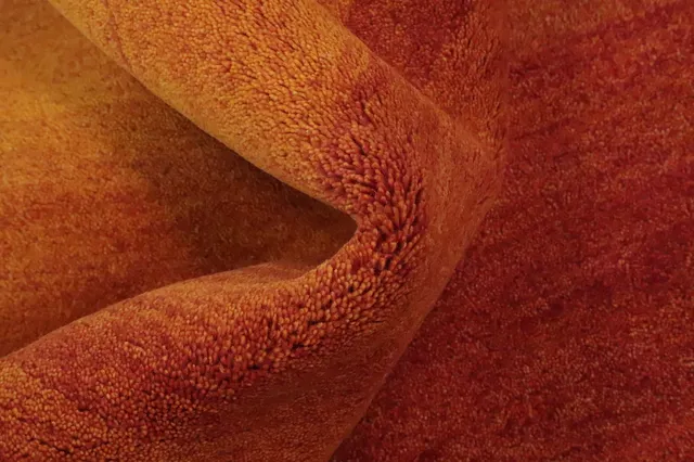 https://image-static-obj.rugsource.com/small/158548_3074859_0c280e3e.jpeg