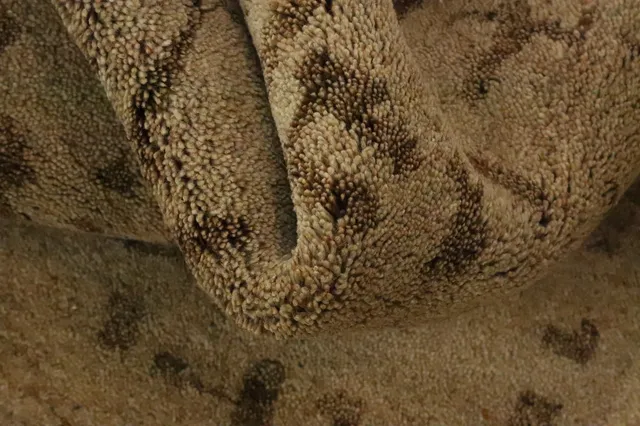 https://image-static-obj.rugsource.com/small/158717_3076817_9c4abacb.jpeg
