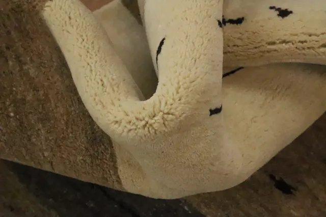https://image-static-obj.rugsource.com/small/158721_3076651_0640e481.jpeg