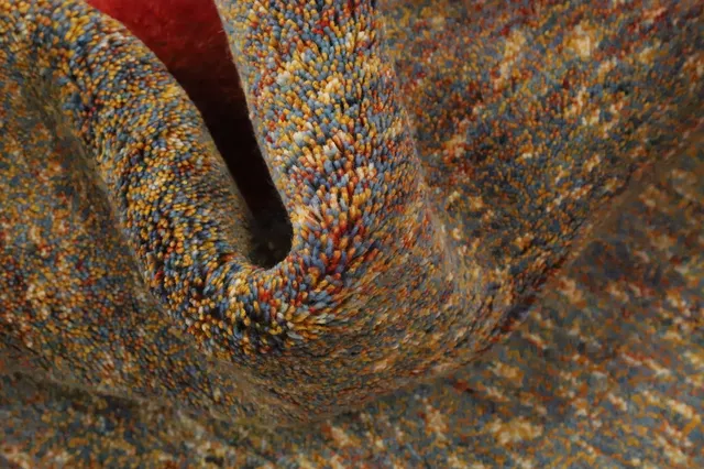 https://image-static-obj.rugsource.com/small/158737_3076704_1469064e.jpeg
