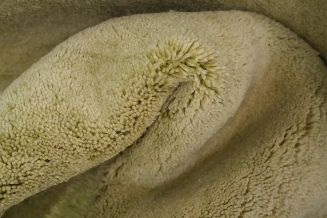 https://image-static-obj.rugsource.com/small/159007_3086157_c06ffe1a.jpeg