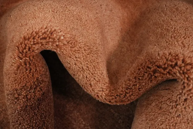 https://image-static-obj.rugsource.com/small/159043_3086481_43544c51.jpeg