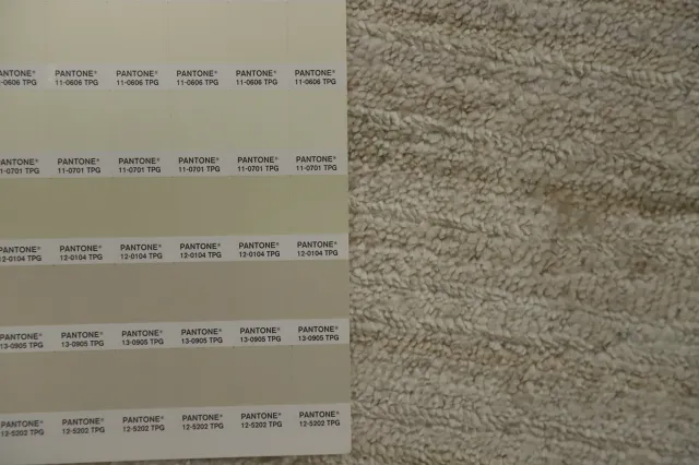 https://image-static-obj.rugsource.com/small/159095_3089579_13483067.jpeg