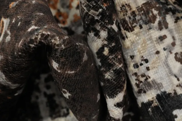 https://image-static-obj.rugsource.com/small/159397_3092227_49228744.jpeg