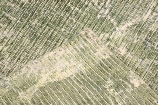 https://image-static-obj.rugsource.com/small/159459_3094587_9a029d04.jpeg