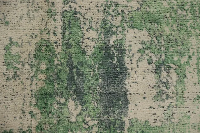 https://image-static-obj.rugsource.com/small/159463_3094727_1da80b4d.jpeg