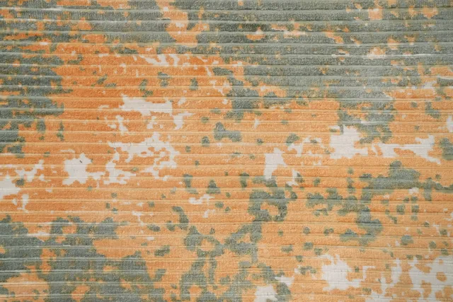 https://image-static-obj.rugsource.com/small/159487_3091721_d9255ced.jpeg