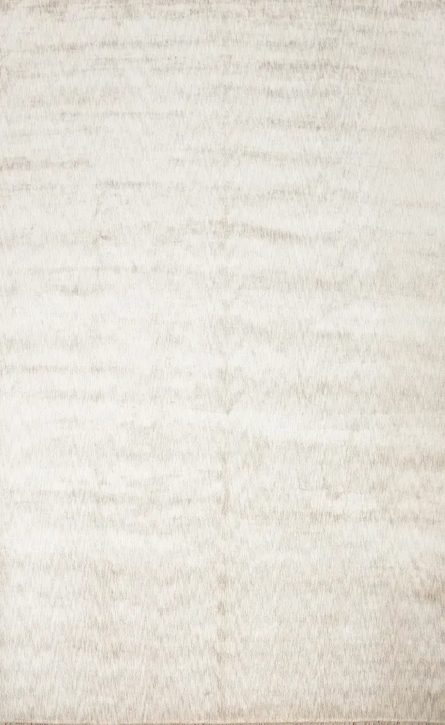 https://image-static-obj.rugsource.com/small/160089_3129875_369ac00e.jpeg