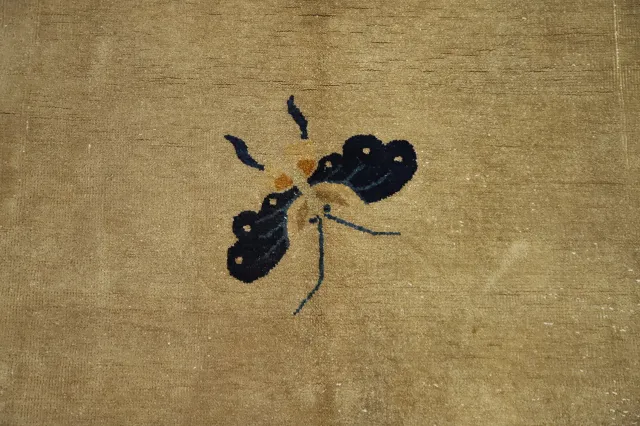 https://image-static-obj.rugsource.com/small/160251_3102001_1579cdc9.jpeg