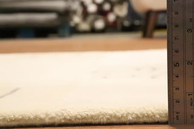 https://image-static-obj.rugsource.com/small/160709_3109719_ef688923.jpeg