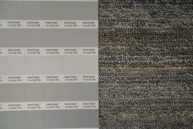 https://image-static-obj.rugsource.com/small/160803_3110445_2939cd34.jpeg