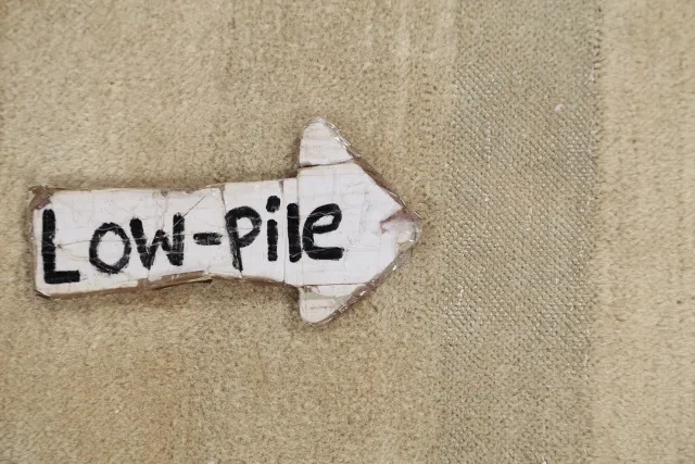 https://image-static-obj.rugsource.com/small/16240_329329_955b6008.jpeg