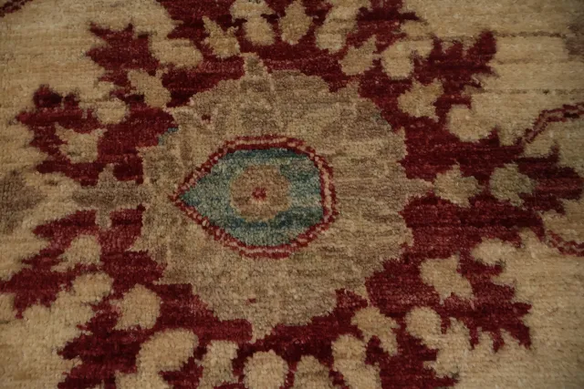 https://image-static-obj.rugsource.com/small/163163_3182004_6ab322f5.jpeg