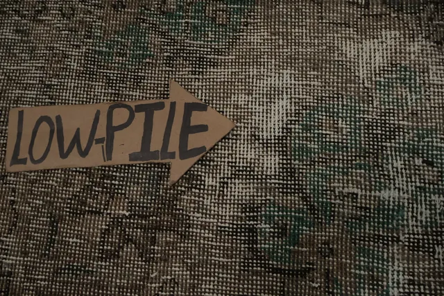 https://image-static-obj.rugsource.com/small/163185_3183222_9aec5be9.jpeg