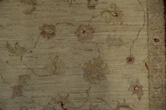 https://image-static-obj.rugsource.com/small/163188_3181926_7b1db8e0.jpeg