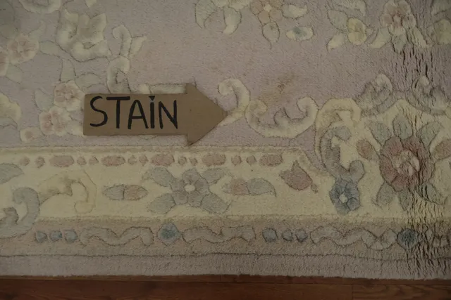 https://image-static-obj.rugsource.com/small/163290_3184061_33667e34.jpeg