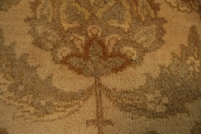 https://image-static-obj.rugsource.com/small/163326_3184331_56f995e0.jpeg