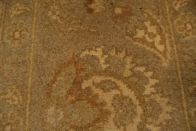 https://image-static-obj.rugsource.com/small/163326_3184333_5ce96e1d.jpeg