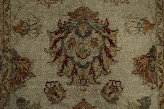 https://image-static-obj.rugsource.com/small/163440_3186378_12adff20.jpeg