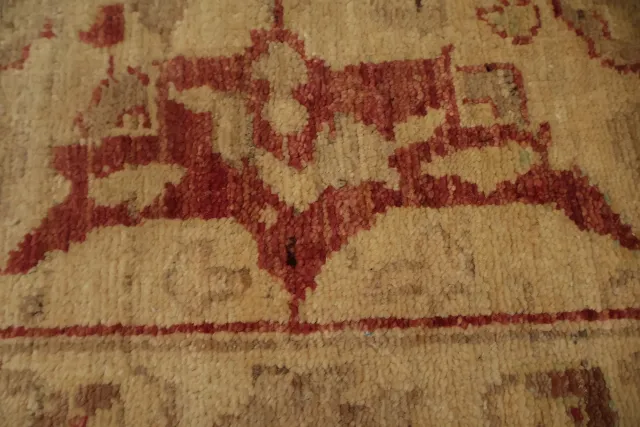 https://image-static-obj.rugsource.com/small/163442_3186669_a0a683c8.jpeg