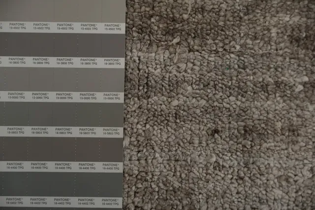 https://image-static-obj.rugsource.com/small/163501_3187611_ecd4ccd3.jpeg