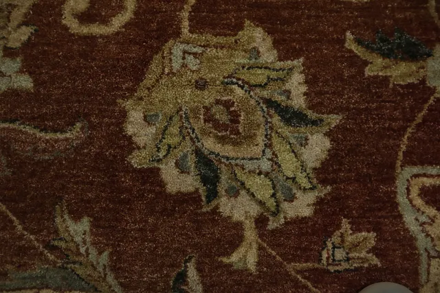 https://image-static-obj.rugsource.com/small/163695_3190145_eccf6aaf.jpeg