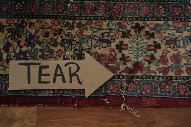 https://image-static-obj.rugsource.com/small/163894_3213897_322f55c0.jpeg