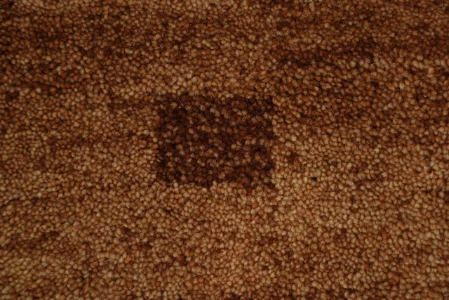 https://image-static-obj.rugsource.com/small/164618_3210146_f7eda334.jpeg