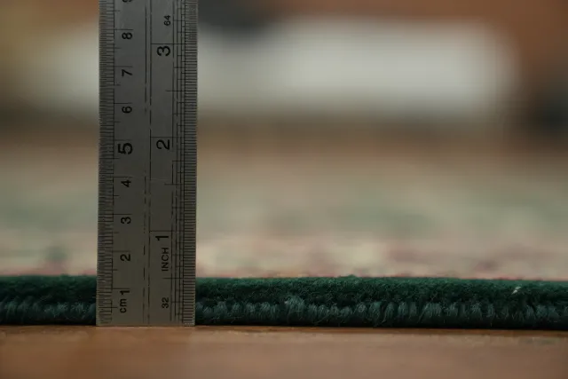 https://image-static-obj.rugsource.com/small/165165_3220825_5dfbecb4.jpeg