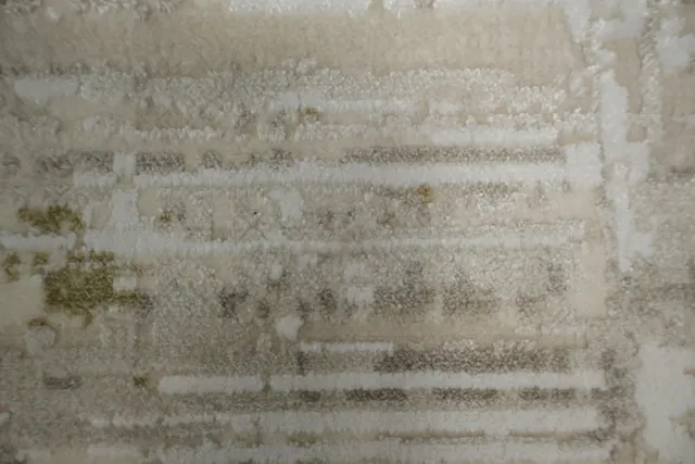 https://image-static-obj.rugsource.com/small/166455_3276636_edf8aa20.jpeg