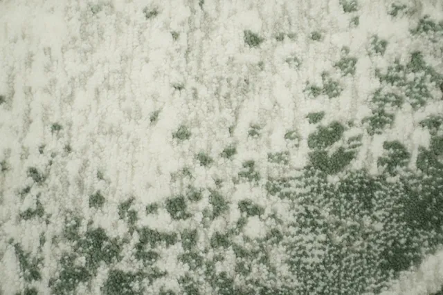 https://image-static-obj.rugsource.com/small/166496_3271326_6219332b.jpeg