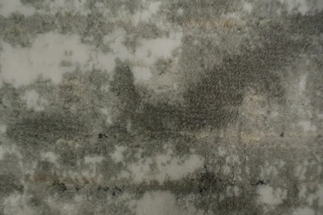 https://image-static-obj.rugsource.com/small/166497_3276388_deb13570.jpeg
