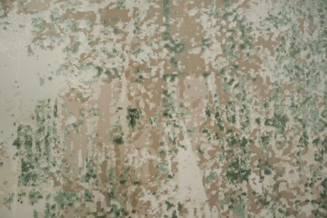 https://image-static-obj.rugsource.com/small/166506_3270968_a2324e9a.jpeg